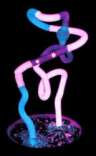 Neon Art by Eve Hoyt