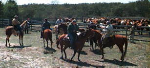 Photo by Bill Hughes, The Round Up