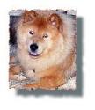 Maddy