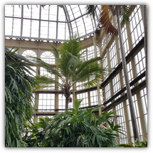Rawlings Conservatory